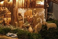 15 krippe der familie haas